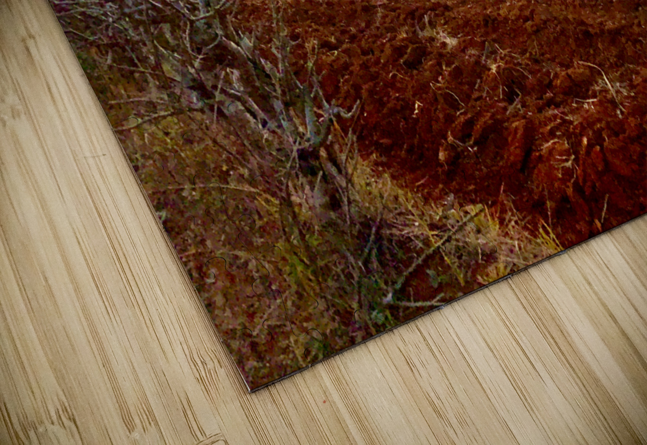 Sunset Over the Red Soil  Jimmy Roy Photos Puzzle