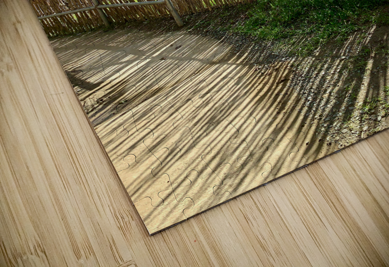 Sun Through the Bamboo Fence Jimmy Roy Photos Puzzle