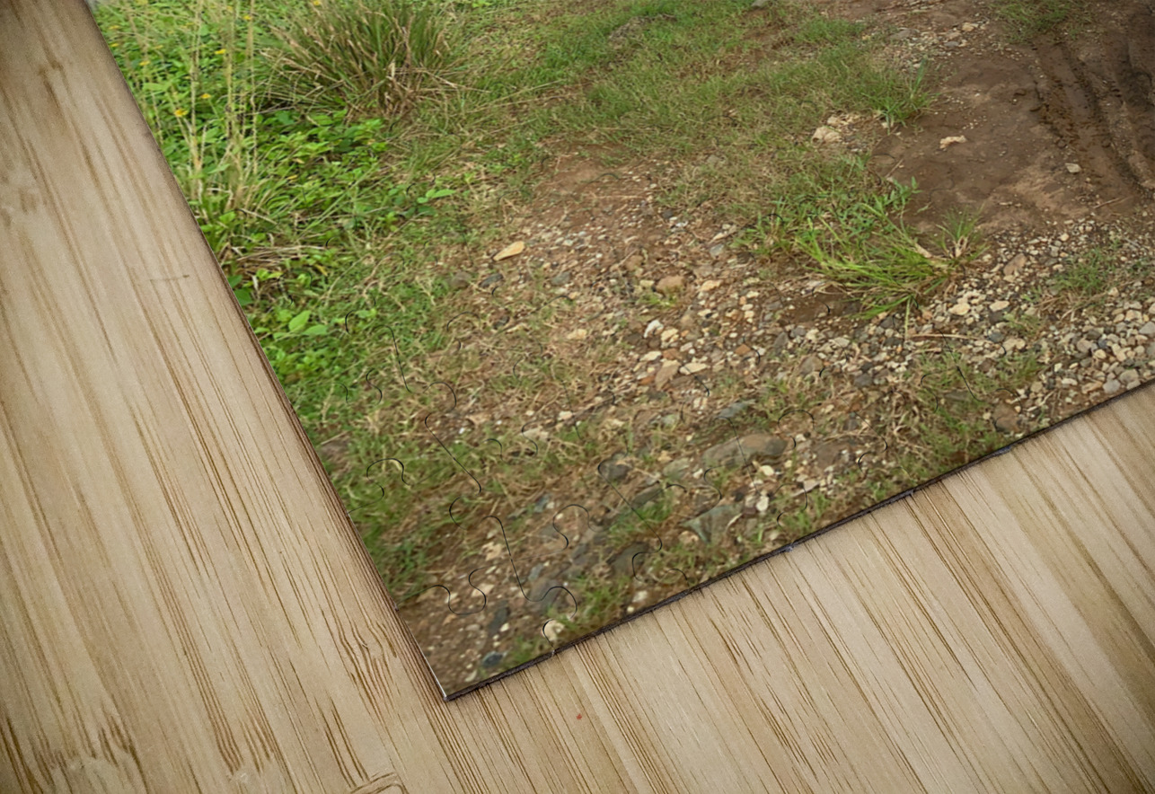 I ll Get There Soon Jimmy Roy Photos Puzzle