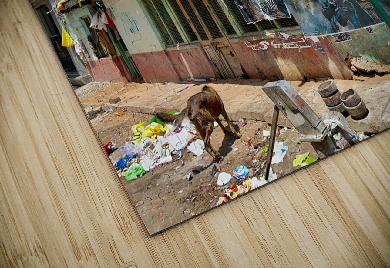 Indian Street Corner Jimmy Roy Photos Puzzle