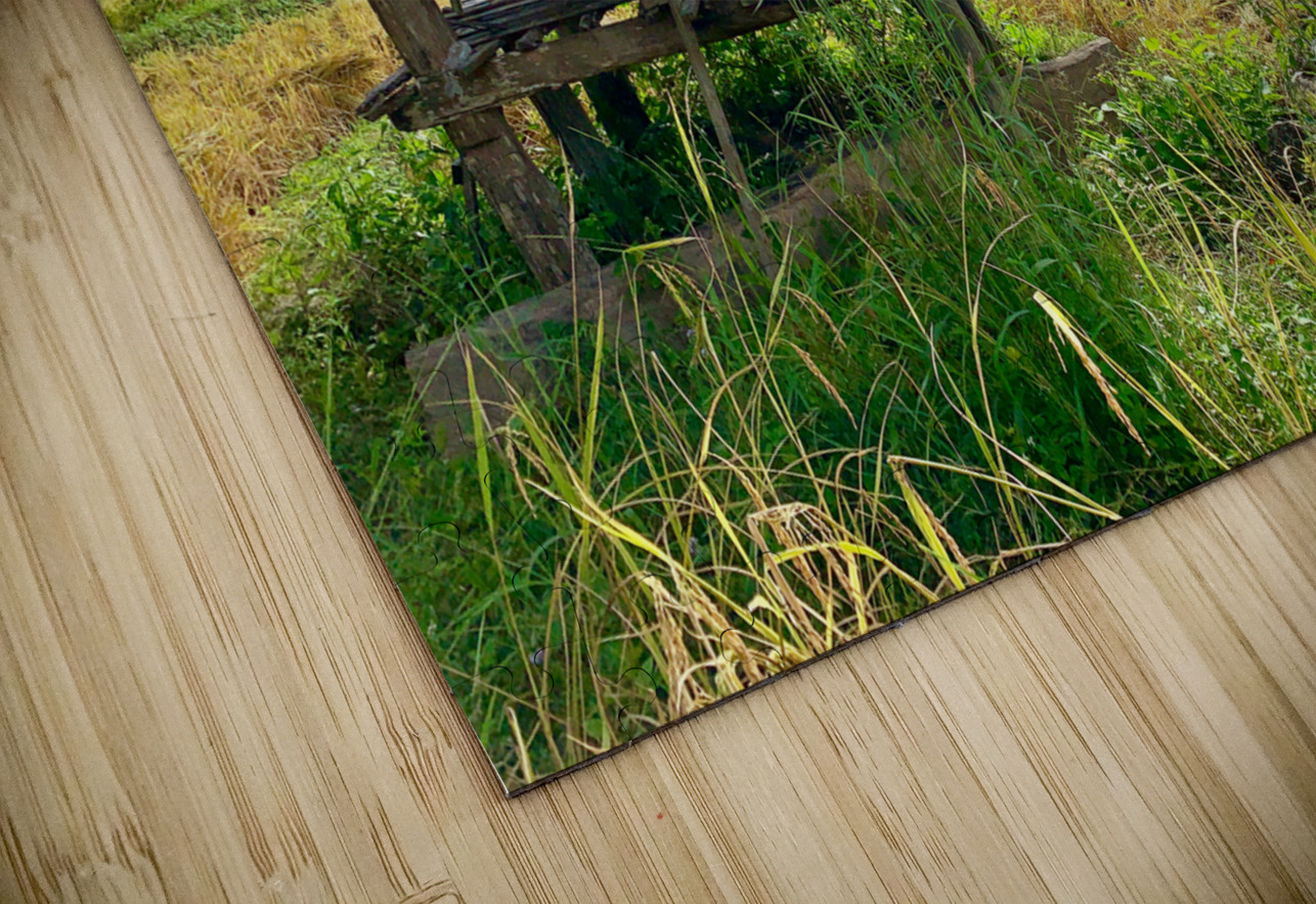 Shacks in the Rice Fields Jimmy Roy Photos Puzzle