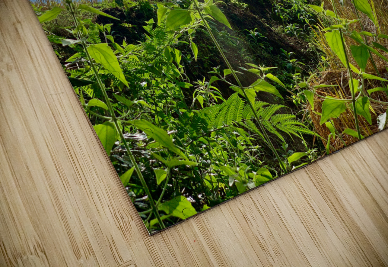 Working the Rice Fields Jimmy Roy Photos Puzzle