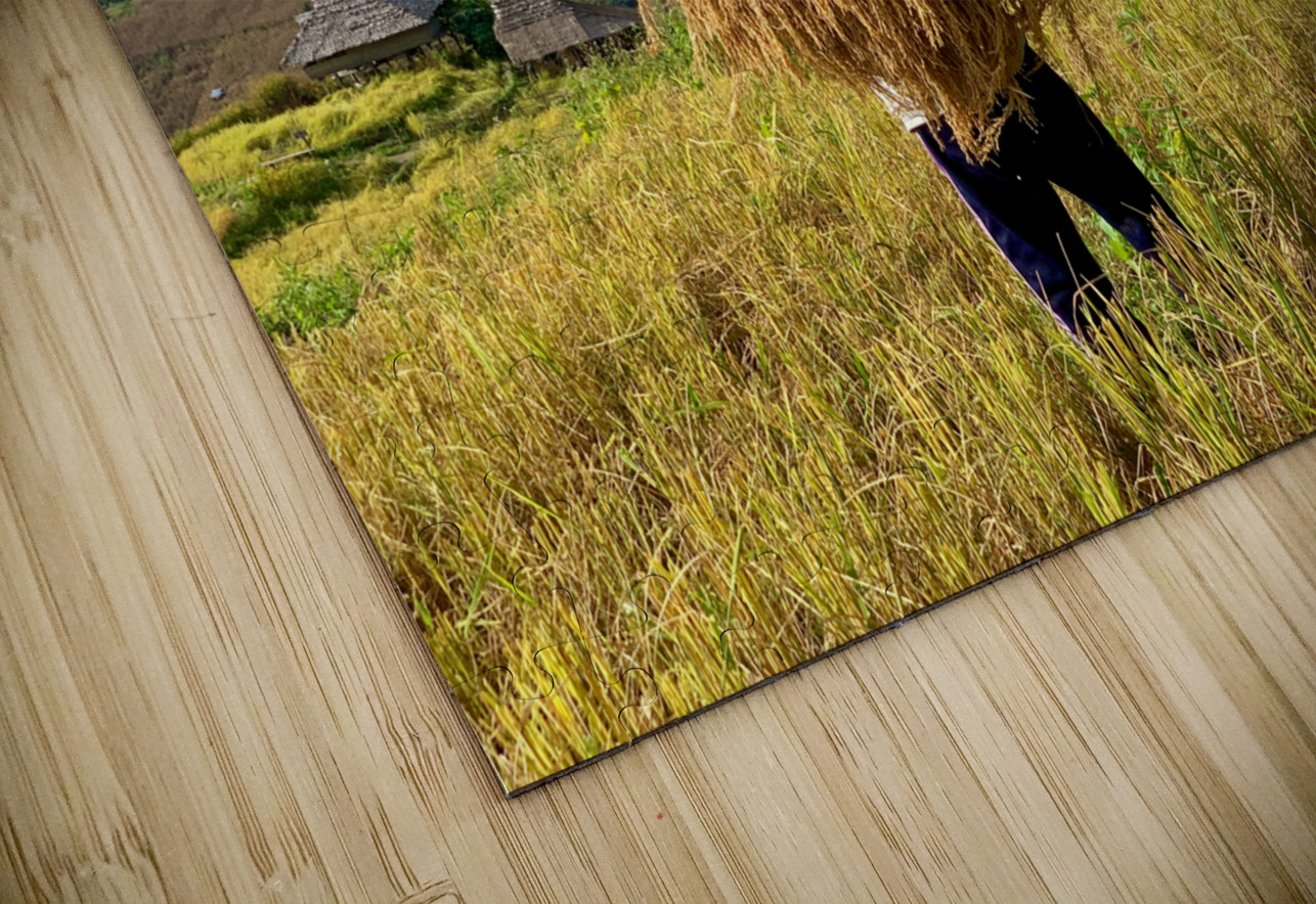 Behind the Rice Jimmy Roy Photos Puzzle