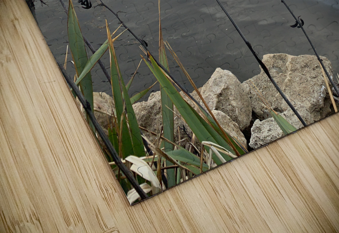 Black Sand on the Coast 2 Jimmy Roy Photos Puzzle