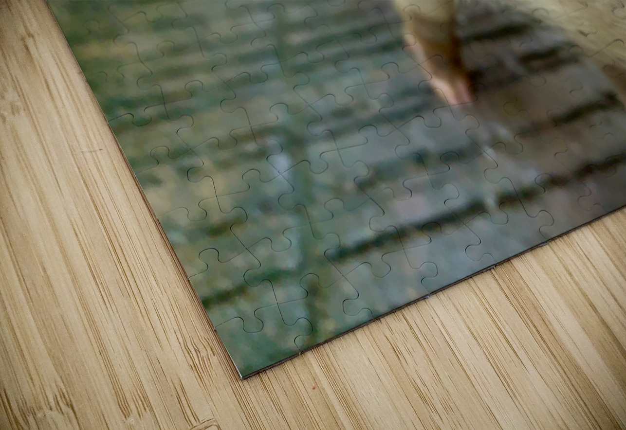 Pig Eye Jimmy Roy Photos Puzzle