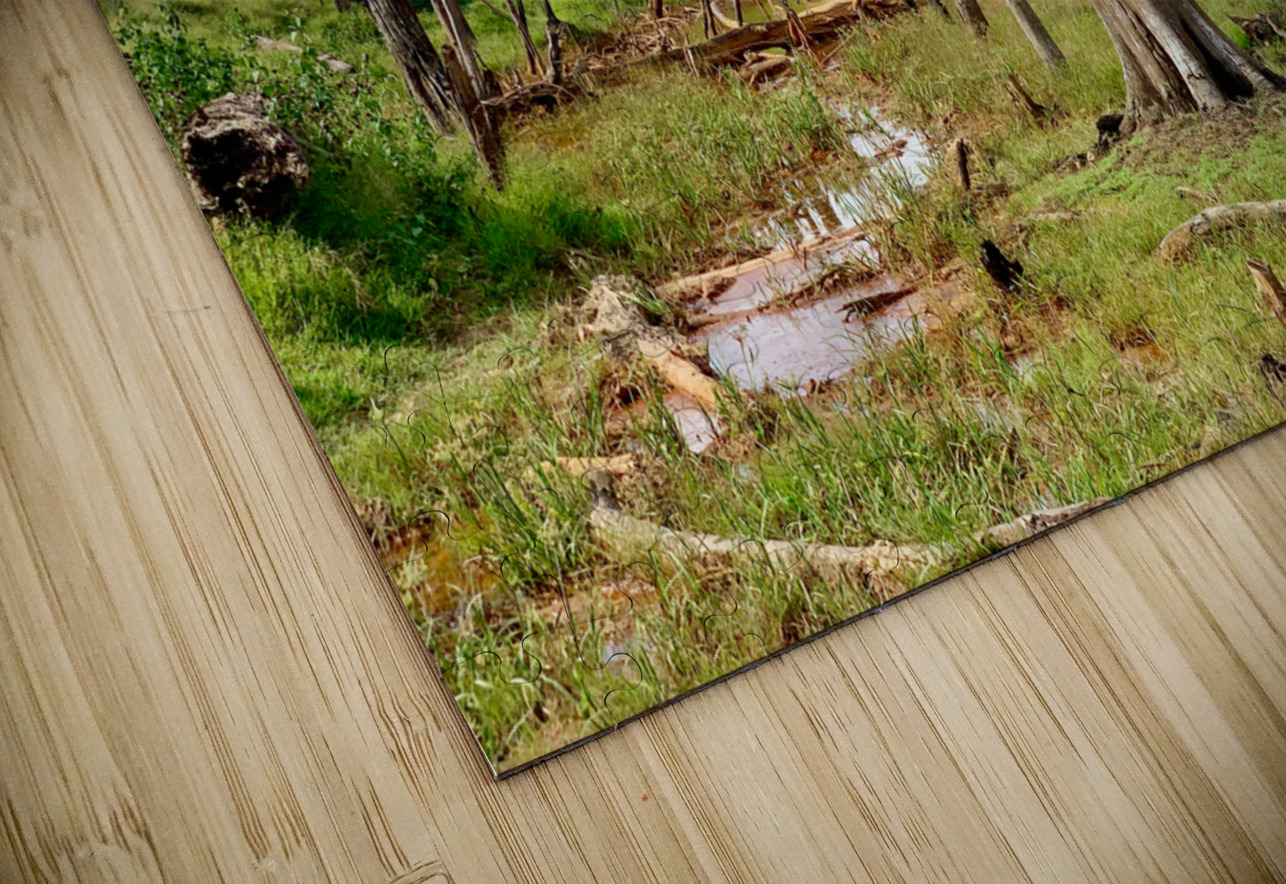 Field of Broken Trees Jimmy Roy Photos Puzzle