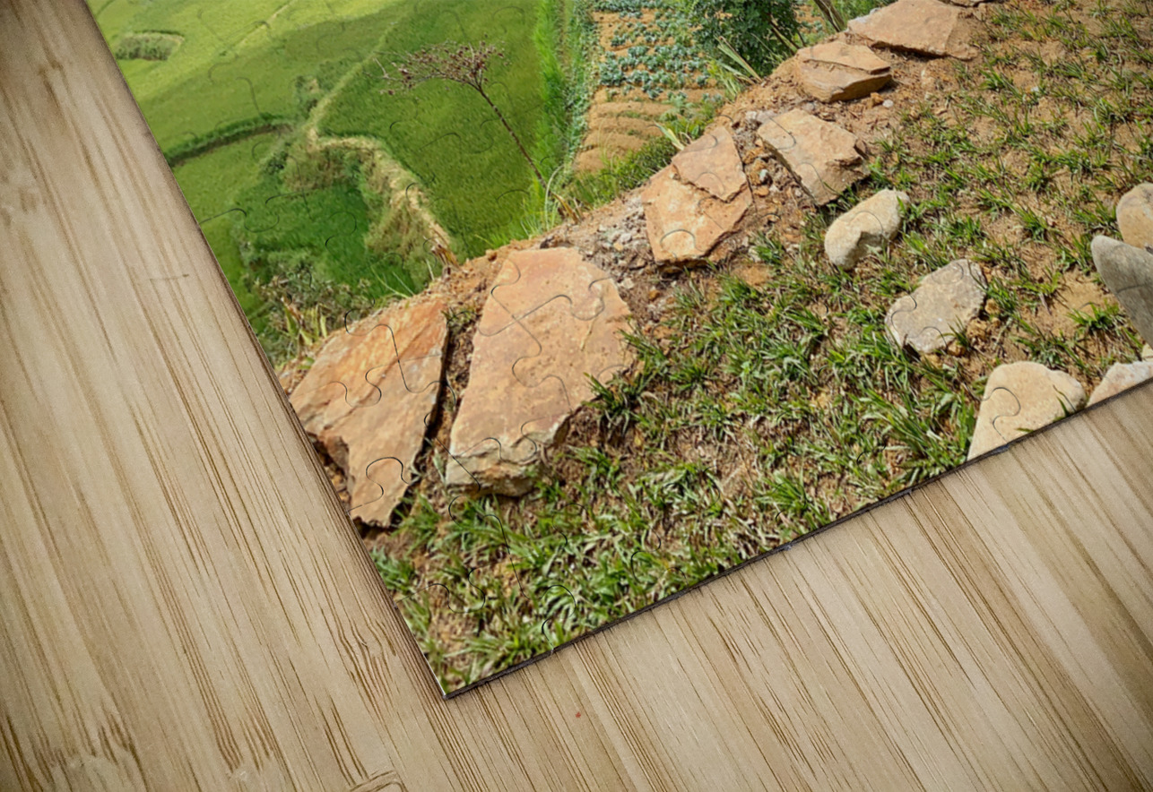 Little House by the Rice Fields Jimmy Roy Photos Puzzle