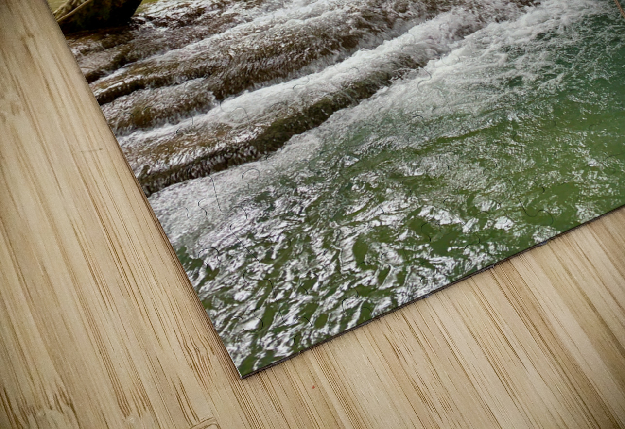 Swing in the Jungle Jimmy Roy Photos Puzzle