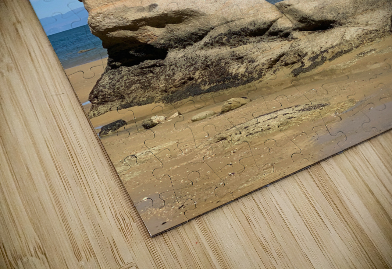 Tree Over The Rock Jimmy Roy Photos Puzzle