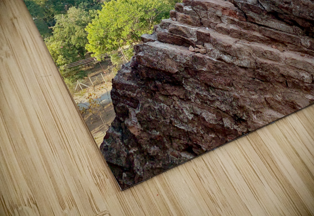 Downward Facing Dog Jimmy Roy Photos Puzzle