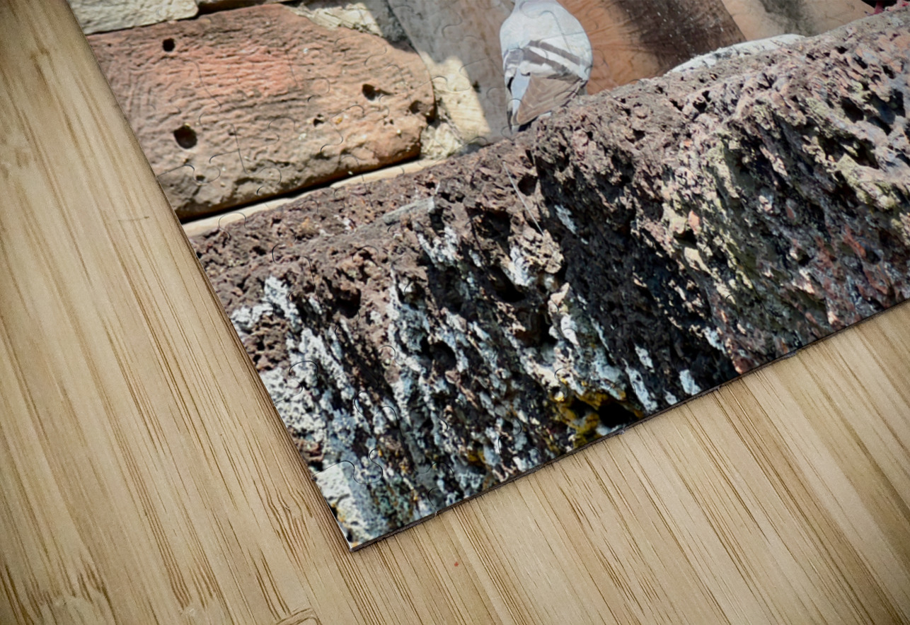 Birds in Historical Site Jimmy Roy Photos Puzzle