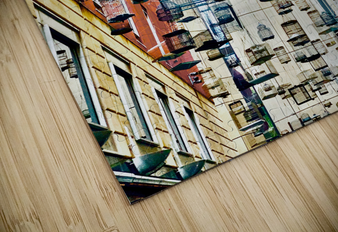 All the Cages Jimmy Roy Photos Puzzle