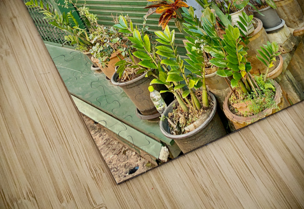 Plants on the Corner Jimmy Roy Photos Puzzle