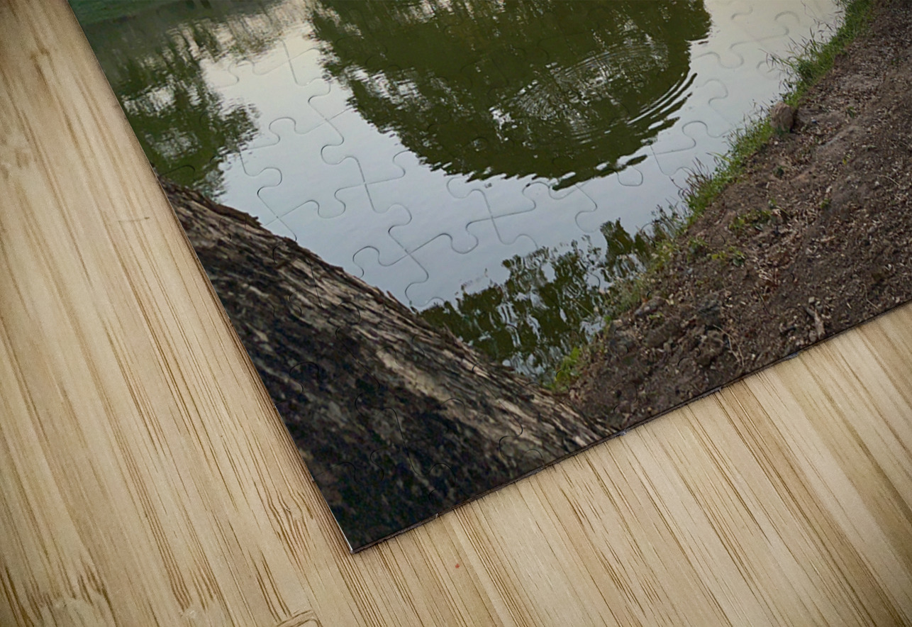 Perfect Tree Reflection During Sunset Jimmy Roy Photos Puzzle