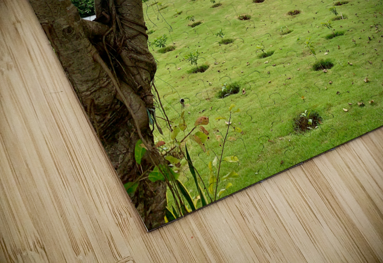 Triangle Shaped Coffee Museum 2 Jimmy Roy Photos Puzzle