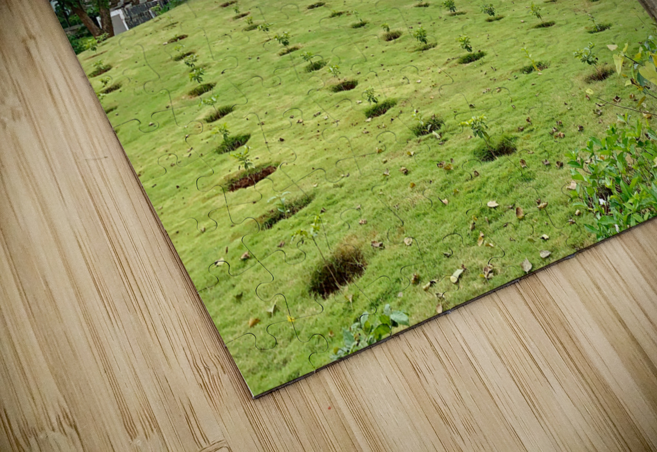 Triangle Shaped Coffee Museum Jimmy Roy Photos Puzzle