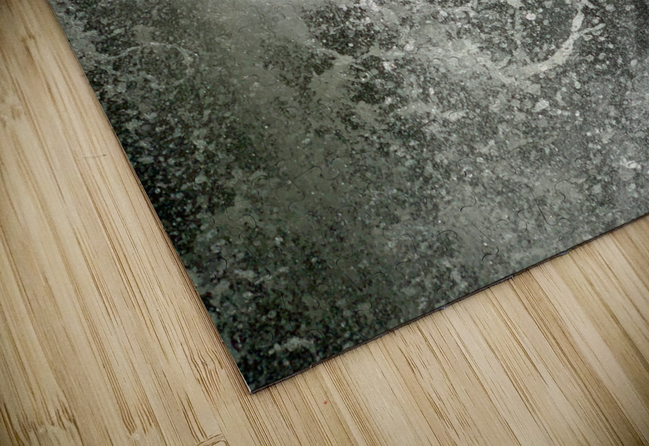 Water Splash Jimmy Roy Photos Puzzle