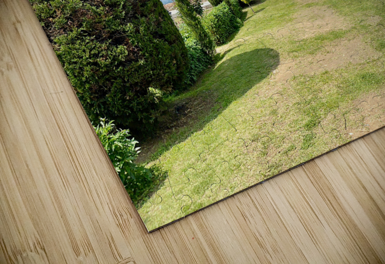 View from Pari Mahal Srinagar 2 Jimmy Roy Photos Puzzle