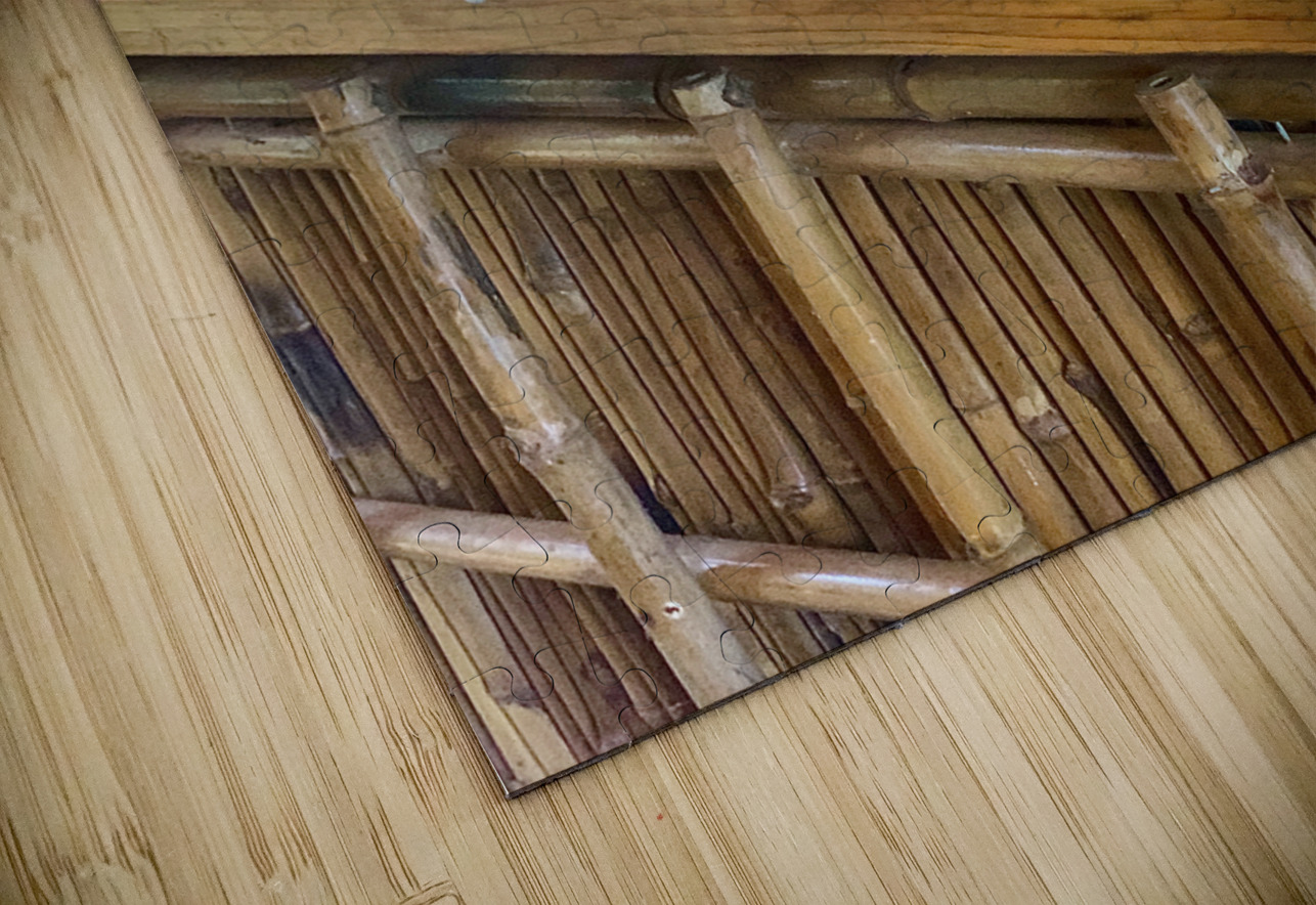 A Cat Named Cappucino Jimmy Roy Photos Puzzle