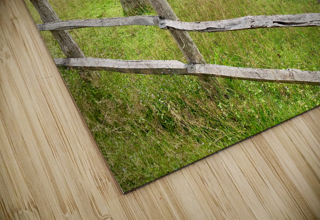 Looking at the Farm Jimmy Roy Photos Puzzle