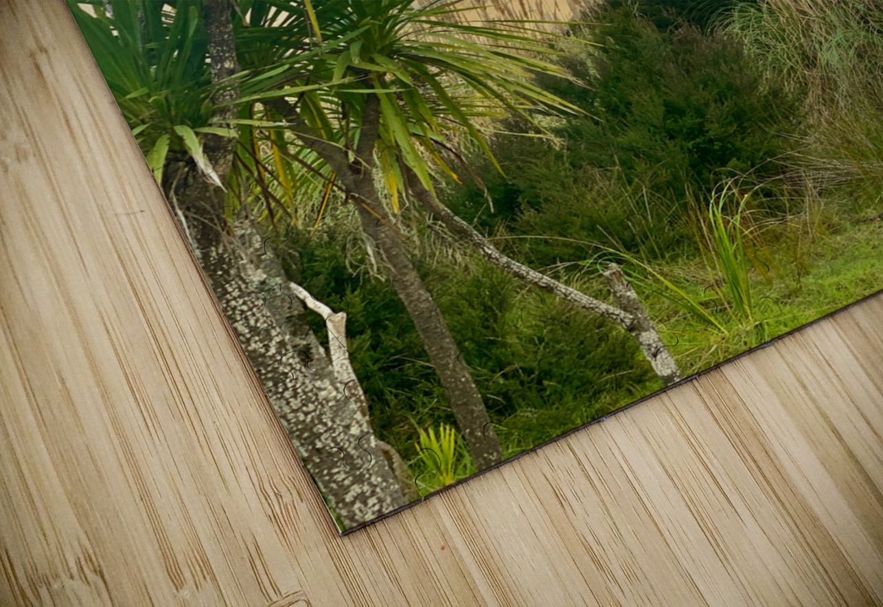 Sand Dunes Ahead Jimmy Roy Photos Puzzle