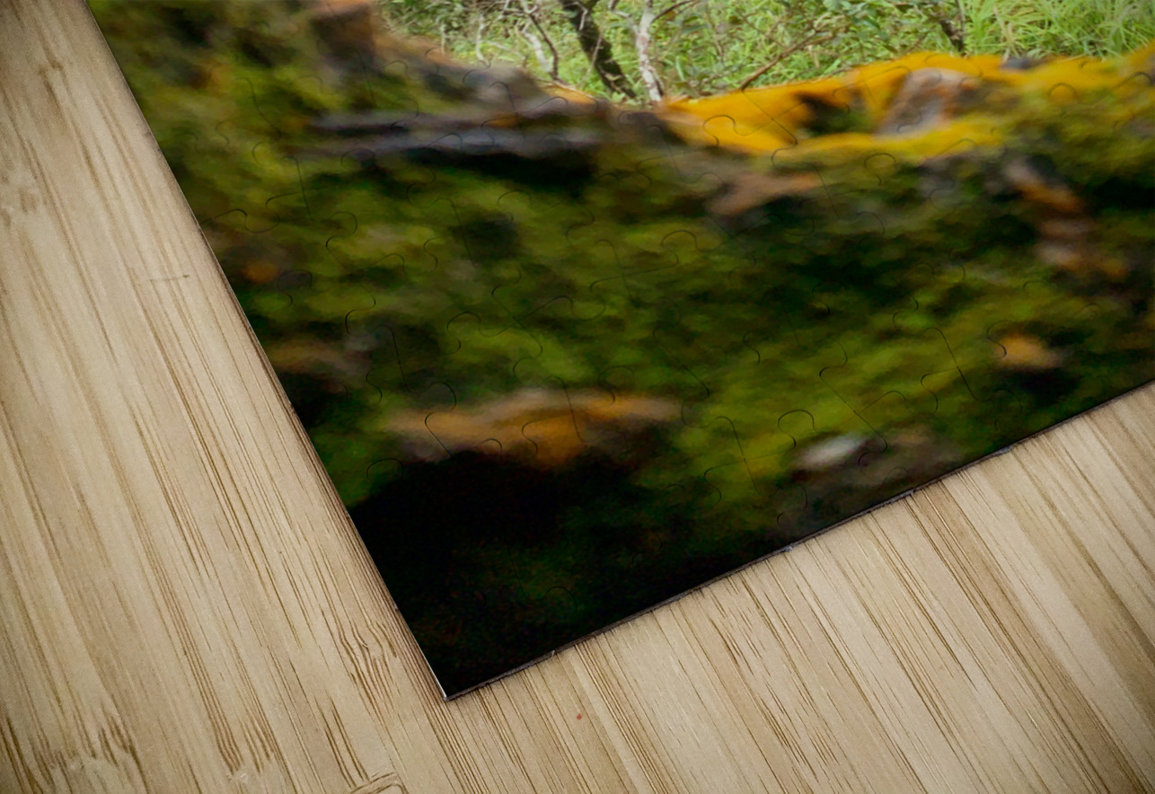 Nature Through the Hole Jimmy Roy Photos Puzzle