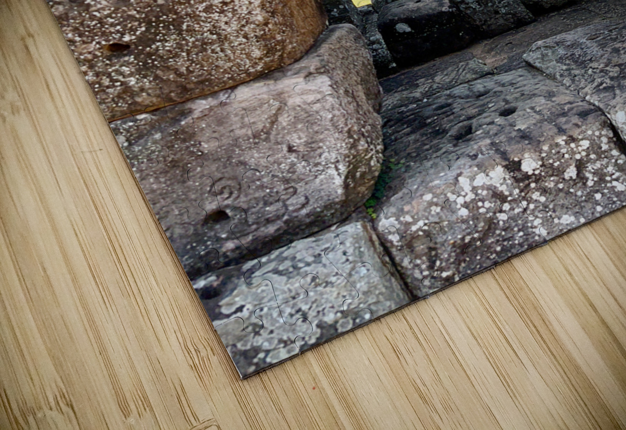 There is a Tree Outside Jimmy Roy Photos Puzzle