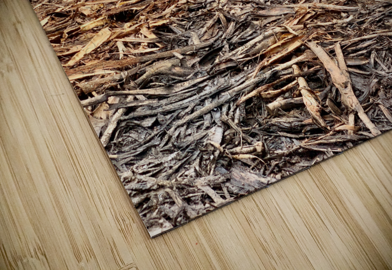 Fading Wood Jimmy Roy Photos Puzzle