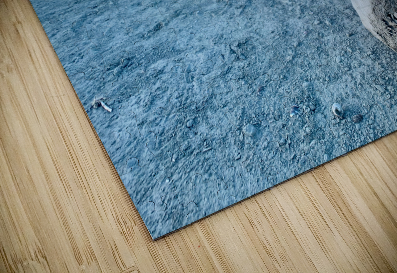 Broken Wood Perspective Jimmy Roy Photos Puzzle