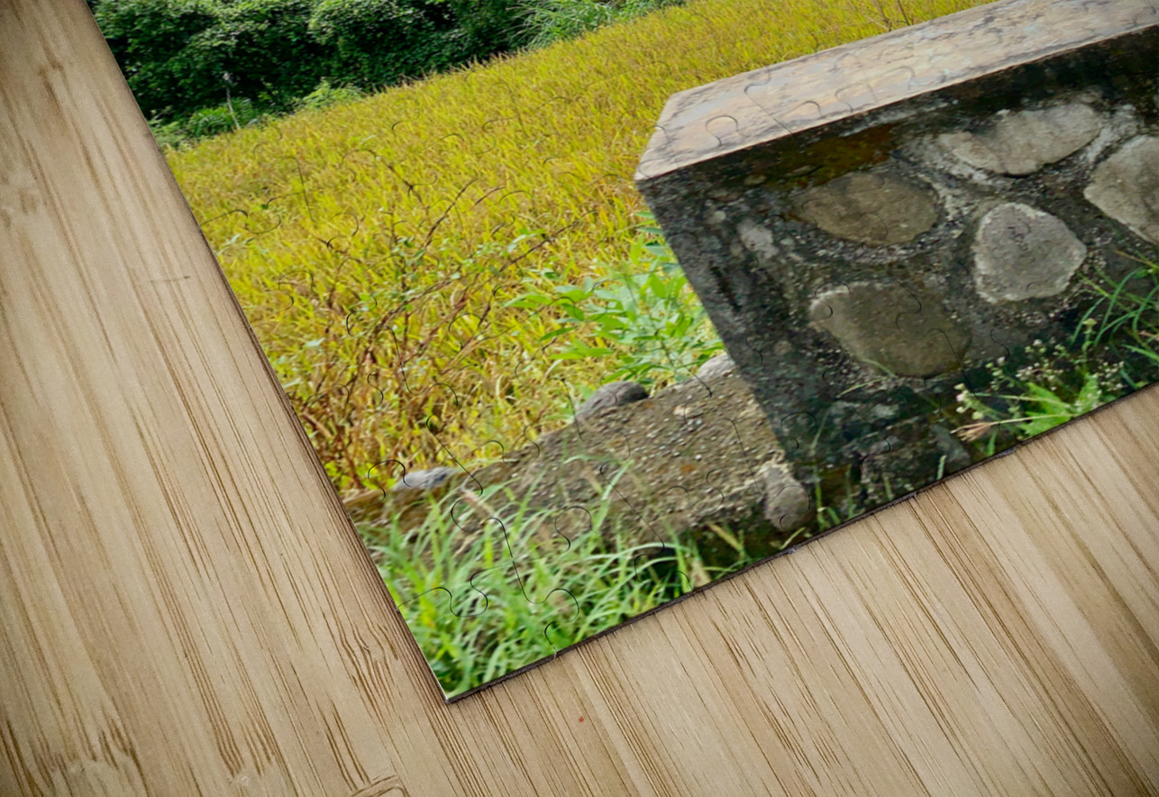 Block on Nature Jimmy Roy Photos Puzzle