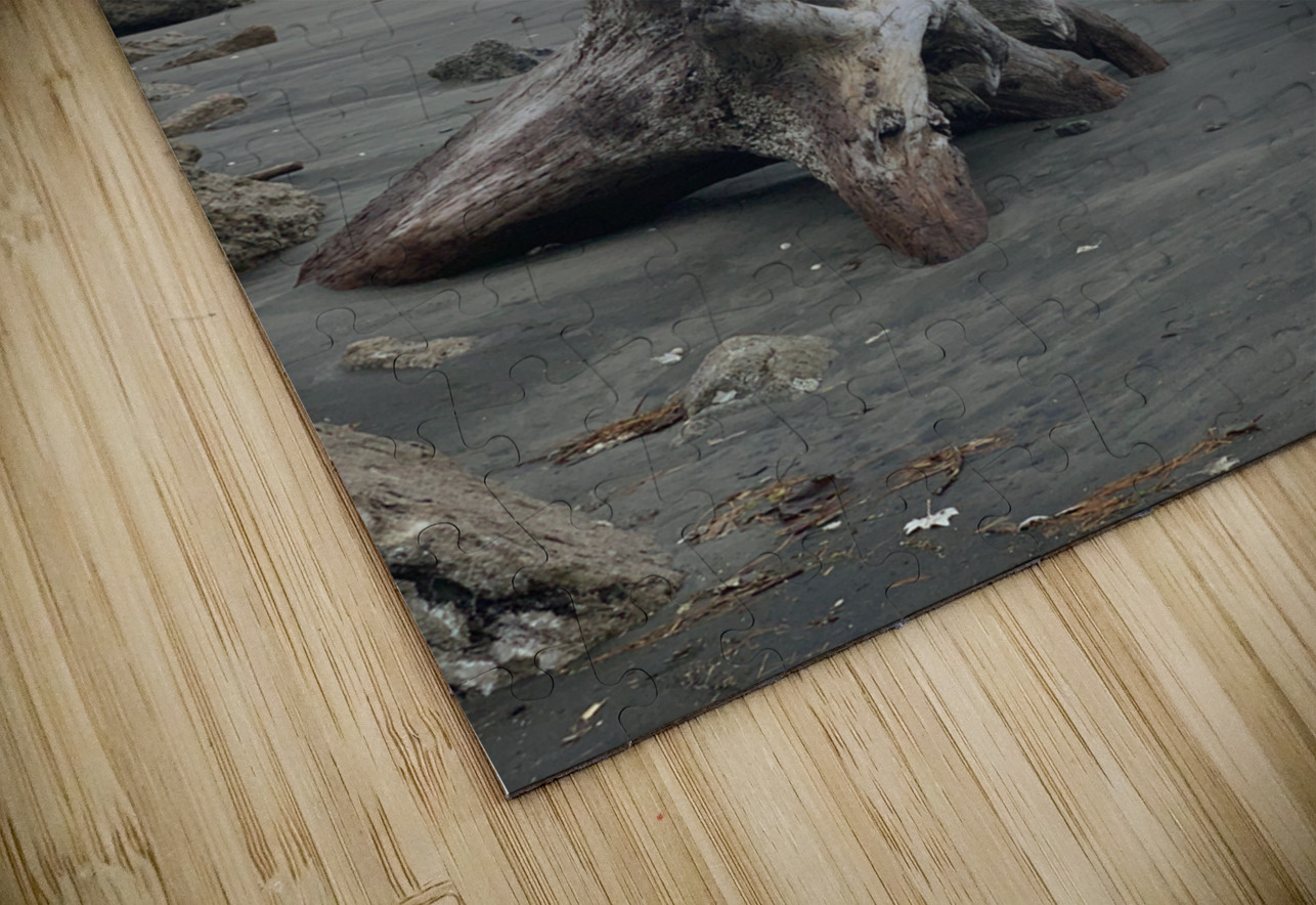 Dark Beach Jimmy Roy Photos Puzzle