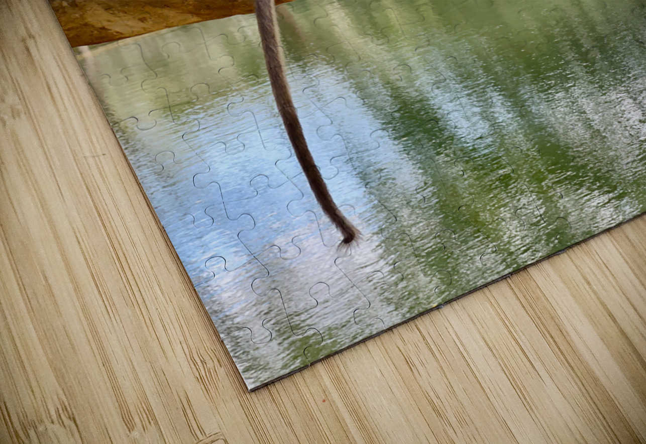 Monkey on a Branch Jimmy Roy Photos Puzzle