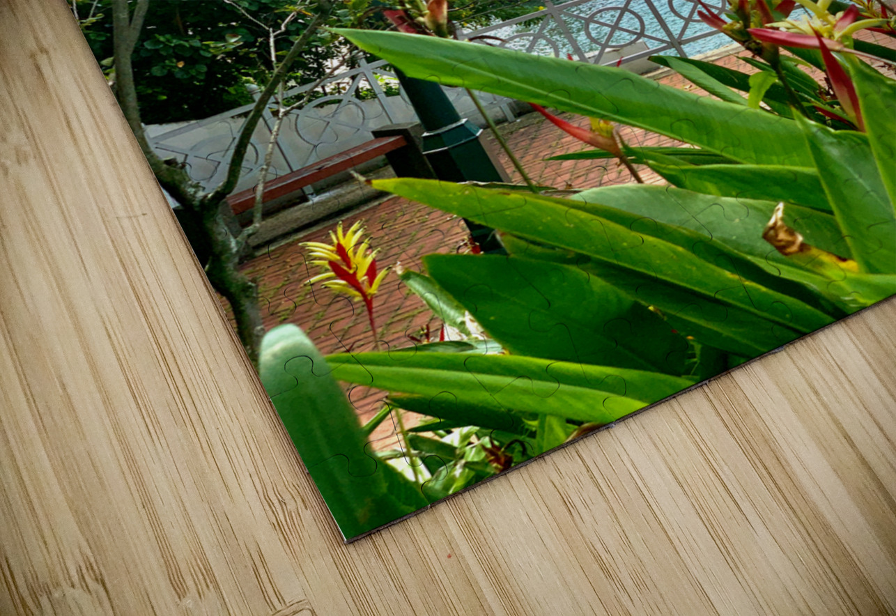 The Pink Train Jimmy Roy Photos Puzzle