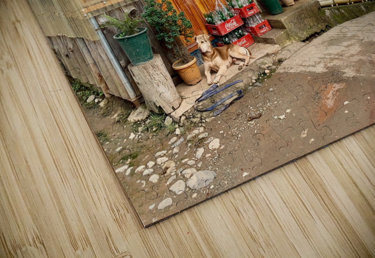 Beautiful Wooden House Jimmy Roy Photos Puzzle