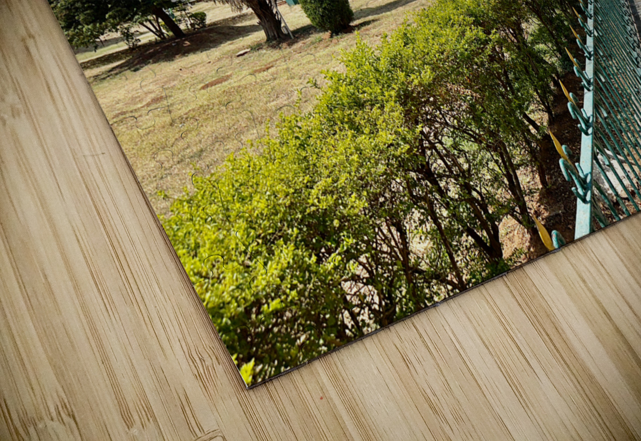 Mysore Town Hall Jimmy Roy Photos Puzzle