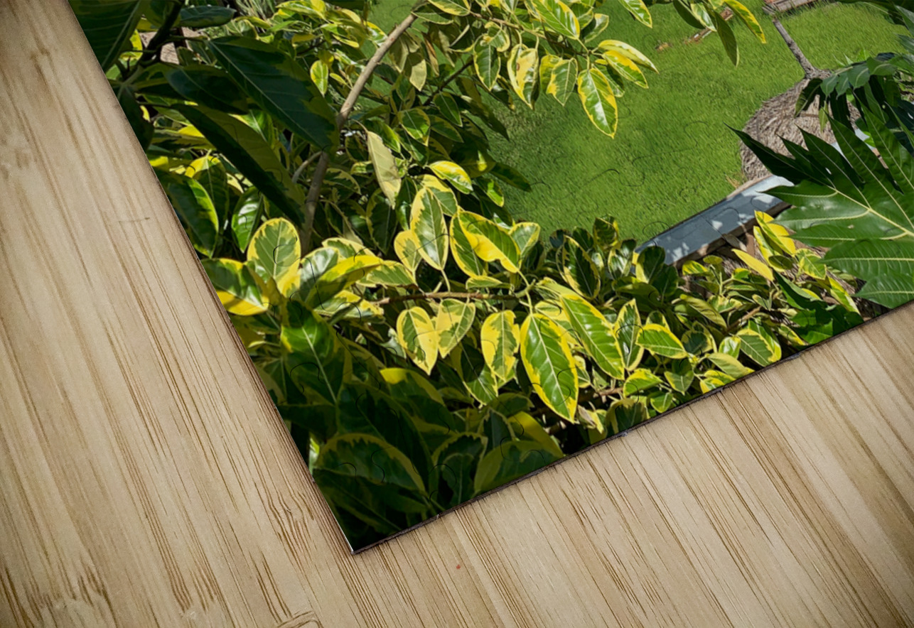 Wat Tham Suea 6 Jimmy Roy Photos Puzzle