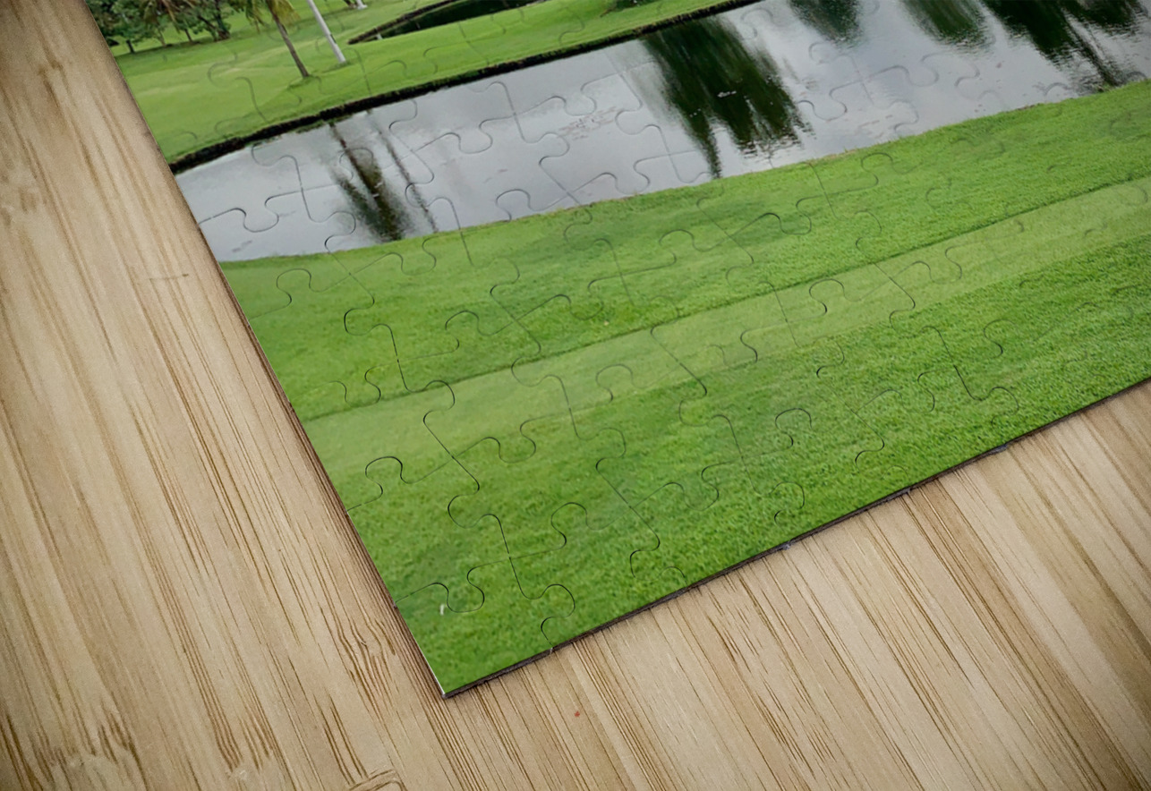 City Park  Lake Manila Jimmy Roy Photos Puzzle