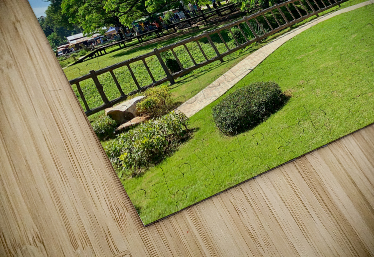 Giant Raintree 2 Jimmy Roy Photos Puzzle