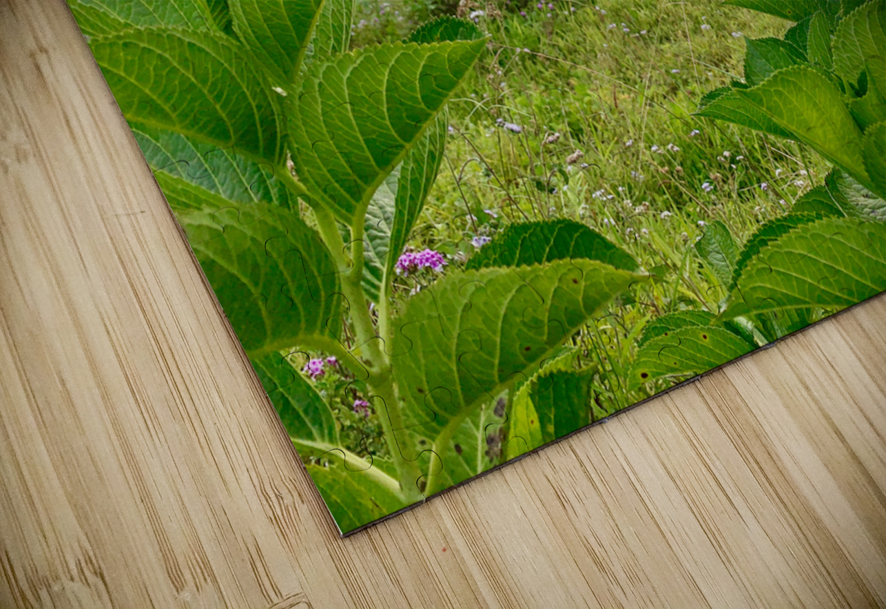 Purple Flowers for Sunset 2 Jimmy Roy Photos Puzzle