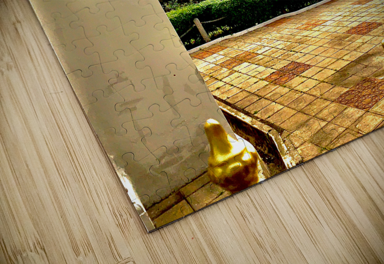 Kapitan Keling Mosque Georgetown Jimmy Roy Photos Puzzle