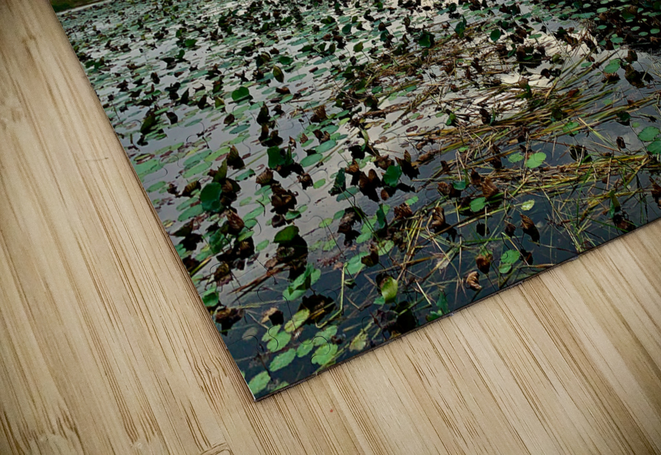 Gazebo on the Lake at Sunset Jimmy Roy Photos Puzzle