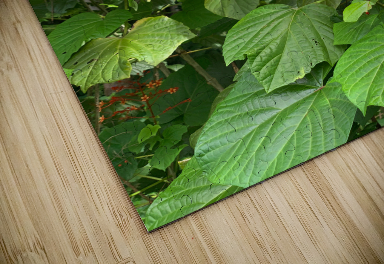 The Blue Butterfly Jimmy Roy Photos Puzzle