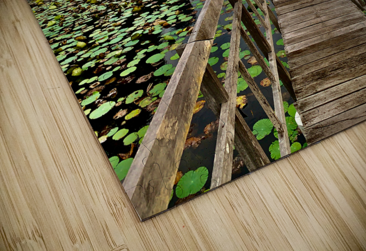 Wooden Walkway Jimmy Roy Photos Puzzle