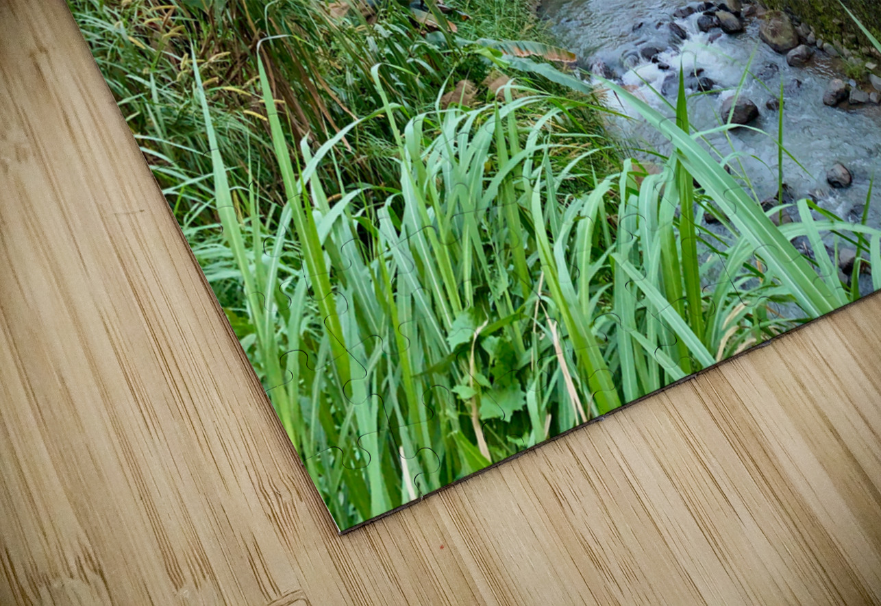 Blue House by the River 2 Jimmy Roy Photos Puzzle