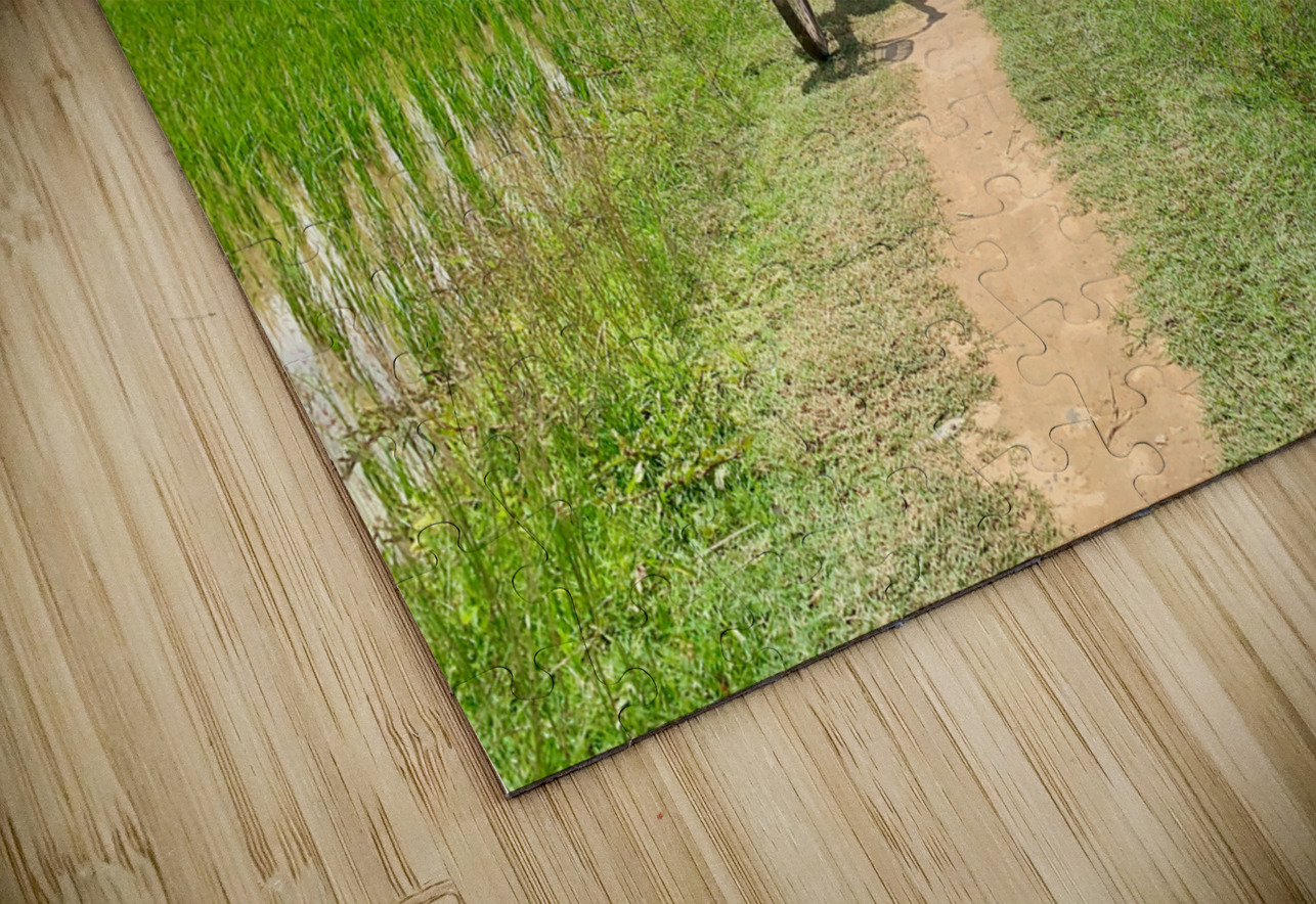 Cycling Back Home Jimmy Roy Photos Puzzle