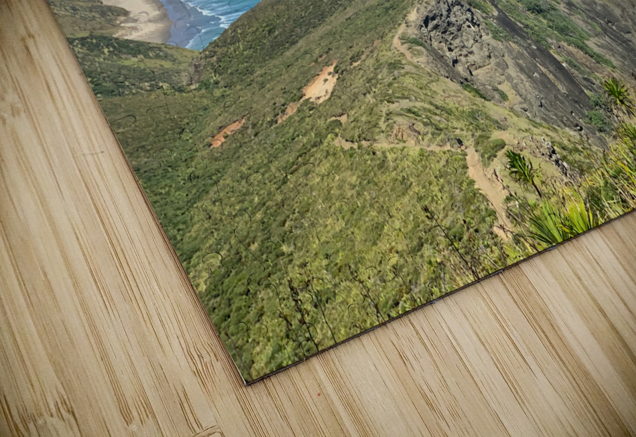 Cape Reinga New Zealand Jimmy Roy Photos Puzzle
