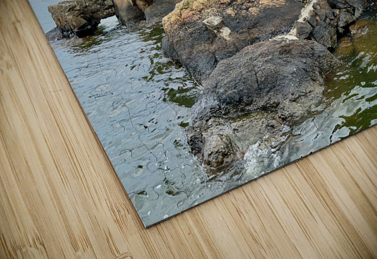 Mini Temple on the Lake Sri Lanka Jimmy Roy Photos Puzzle