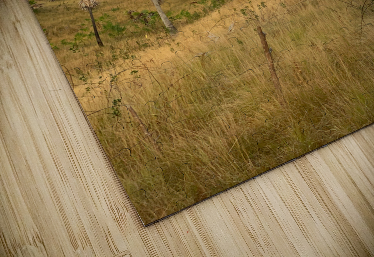 Palm Trees on the Hills Jimmy Roy Photos Puzzle