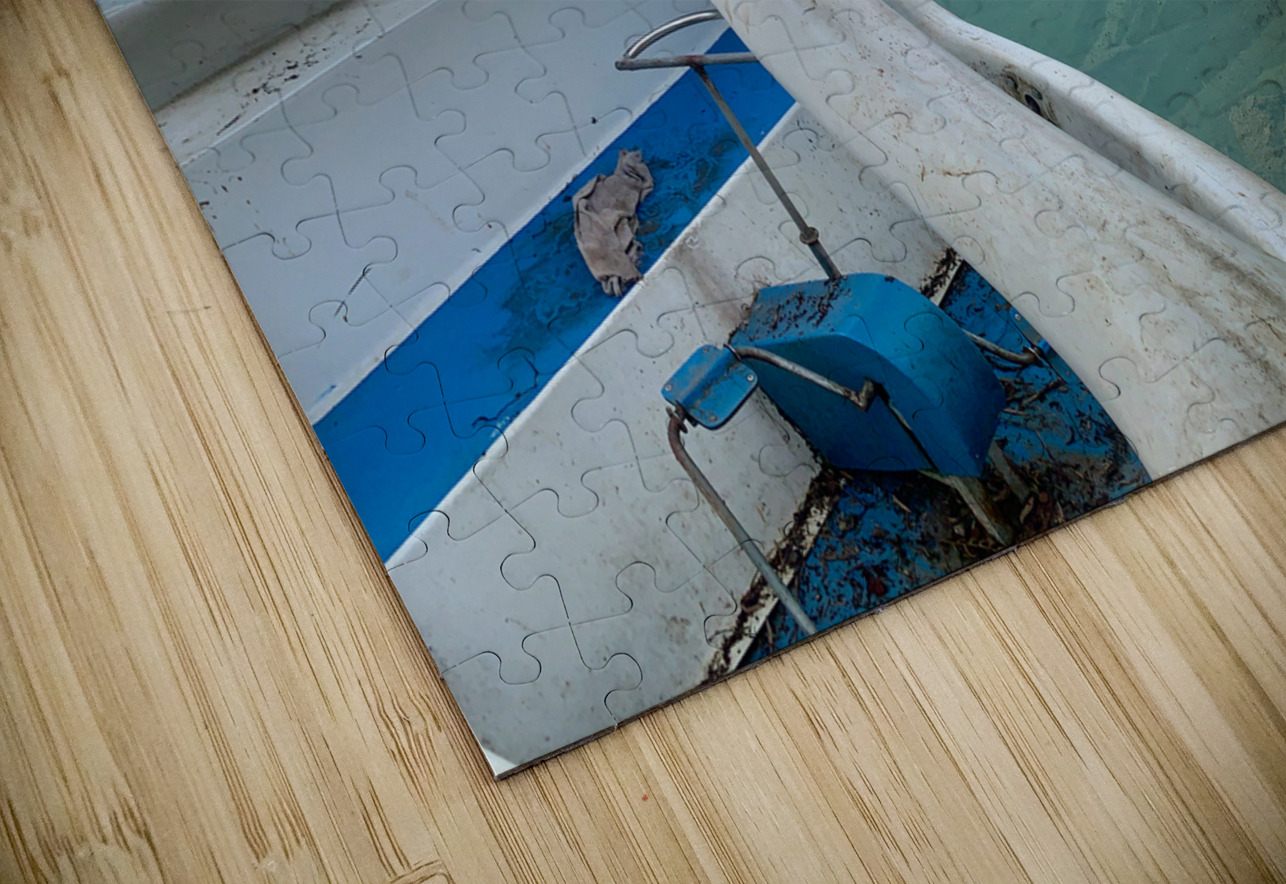 Swan Boat on the Lake Jimmy Roy Photos Puzzle