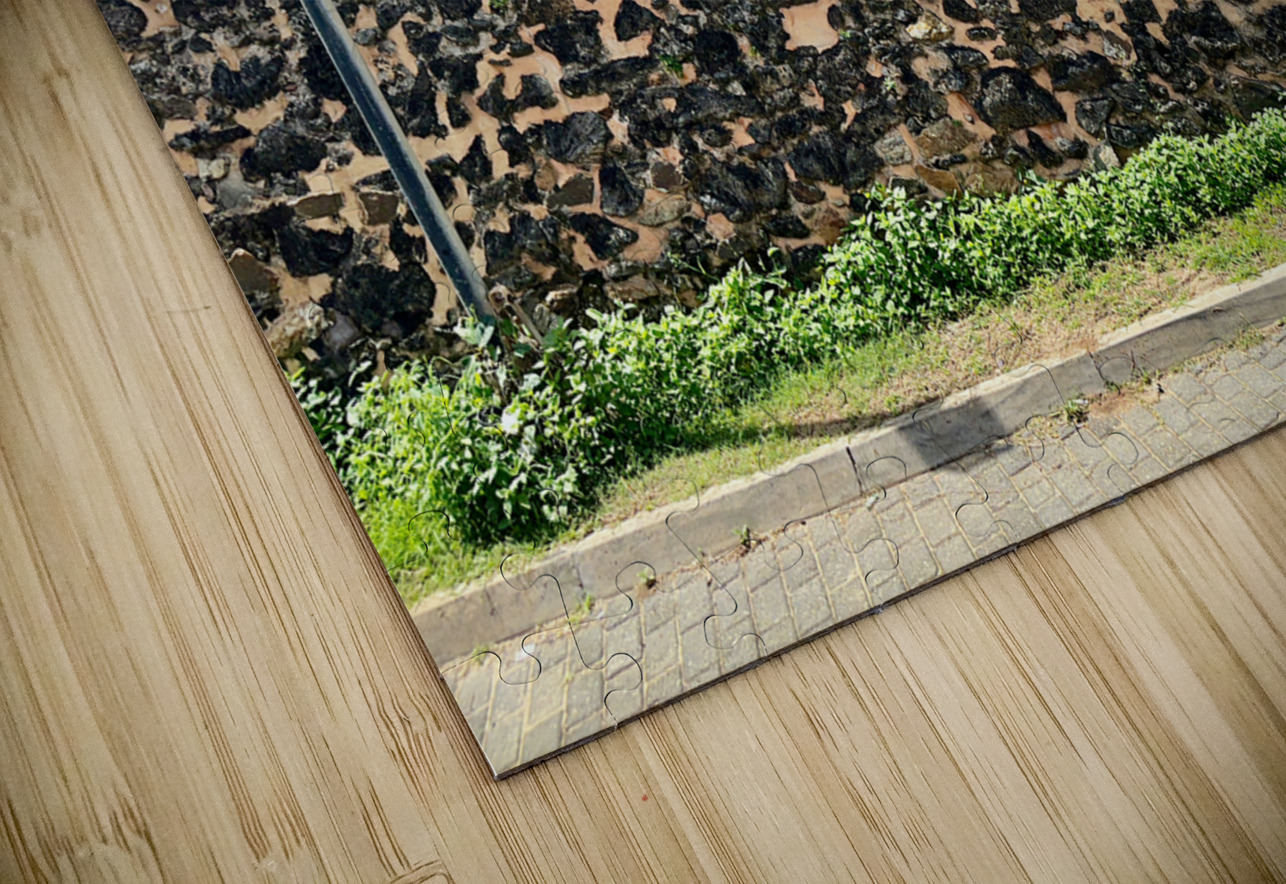 Street Lamp  Wall Jimmy Roy Photos Puzzle